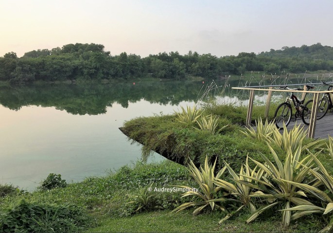 Lorong Halus Punggol Park